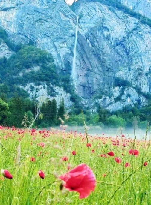 Les Loges De L'Arpenaz Daire Magland Dış mekan fotoğraf